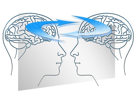 ¿Cuáles son los campos de aplicación del  Neurofeedback?